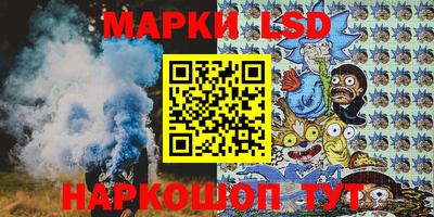 шишки Заволжье