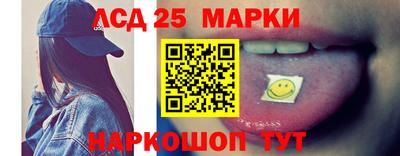 шишки Заволжье