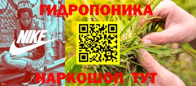 шишки Заволжье