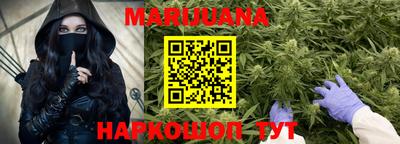 шишки Заволжье