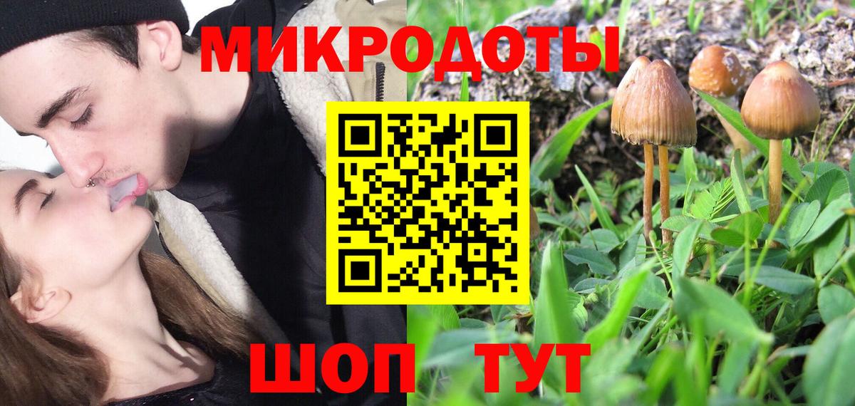 купить   Галлюциногенные грибы ЛСД  Лабытнанги  Вход с VPN  Галлюциногенные грибы мицелий 